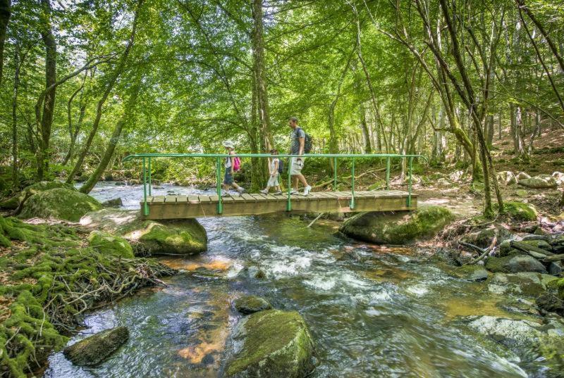 Studio En Auvergne Le Ruisseau Lejlighed Saint-Priest-Bramefant Eksteriør billede